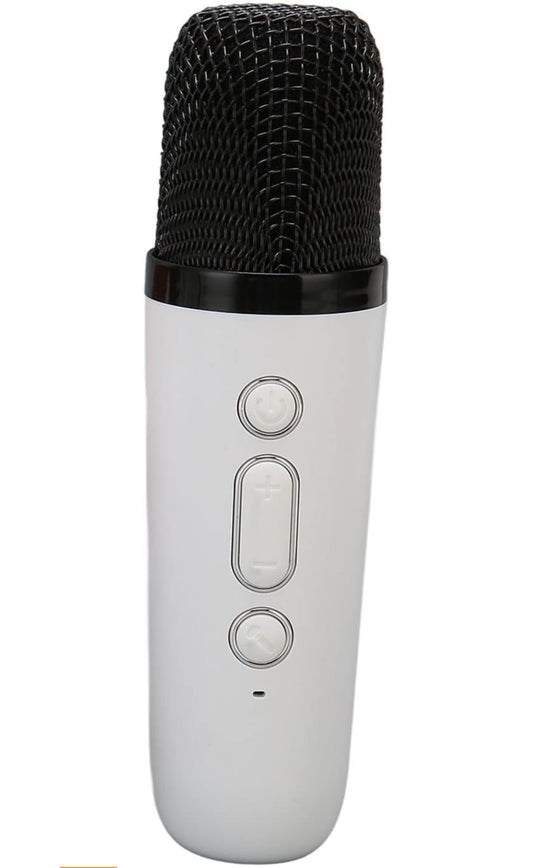CL1 Mini Speaker with mic karaoke