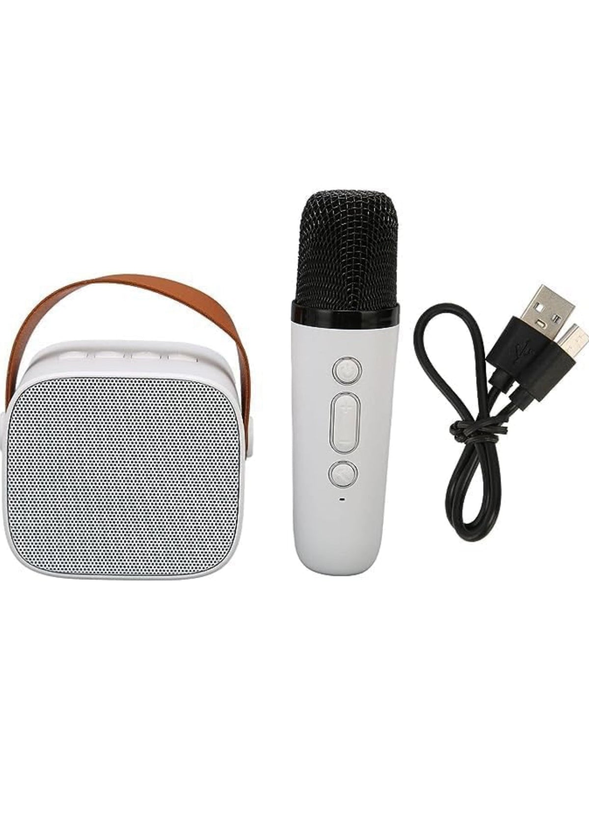 CL1 Mini Speaker with mic karaoke