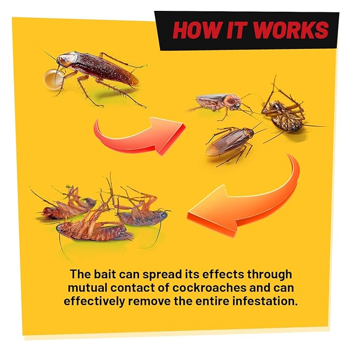 Cockroach Gel Ready to Use Cockroach Gel Bait Outdoor and Indoor Roach Killer with Syringe Applicator