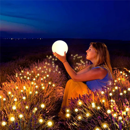 Solar Powered Garden Light | Waterproof