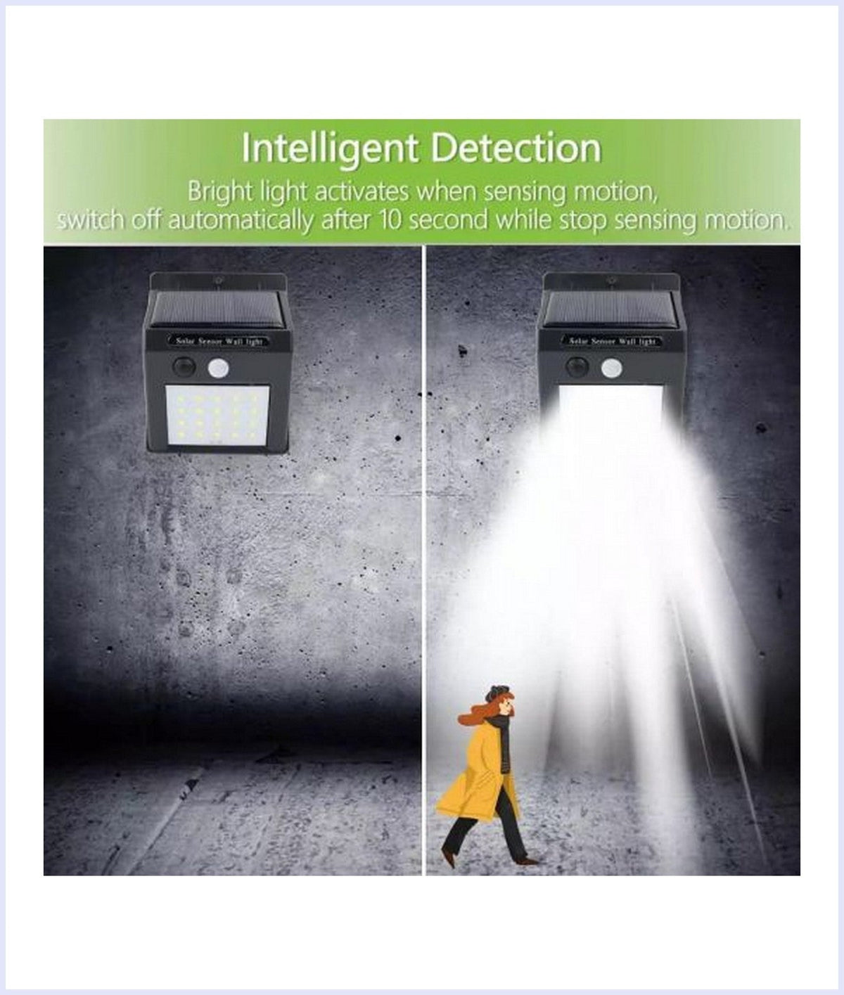 Motion Detector Solar Light