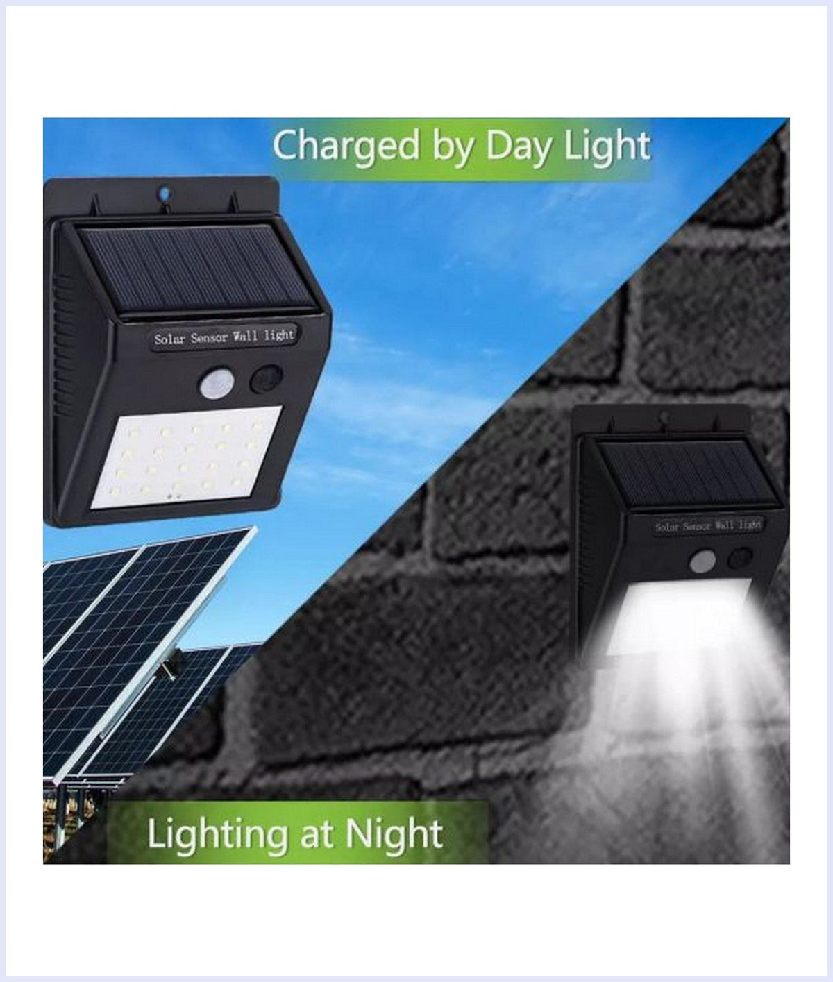 Motion Detector Solar Light